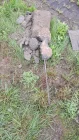 Жалоба-отзыв: ЧПУП Зодчий Групп - Некачественный монтаж памятников и несоблюдение сроков сдачи памятника.  Фото №2
